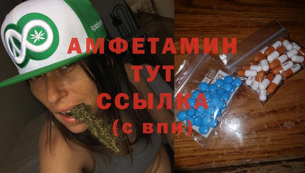 хмурый Аркадак