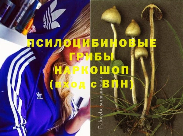 альфа пвп Армянск