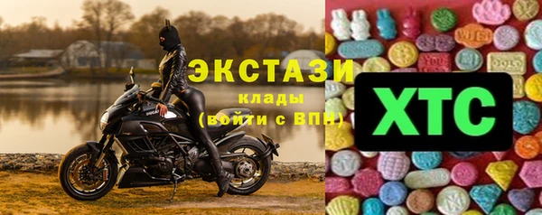 хмурый Аркадак