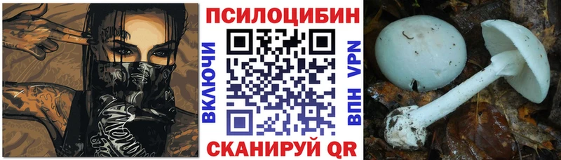 Галлюциногенные грибы Cubensis Суздаль